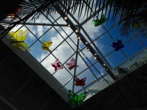 butterfly-installation